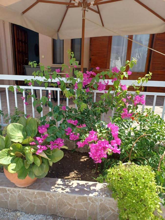 Cozy Apartments 伊斯特隆 外观 照片